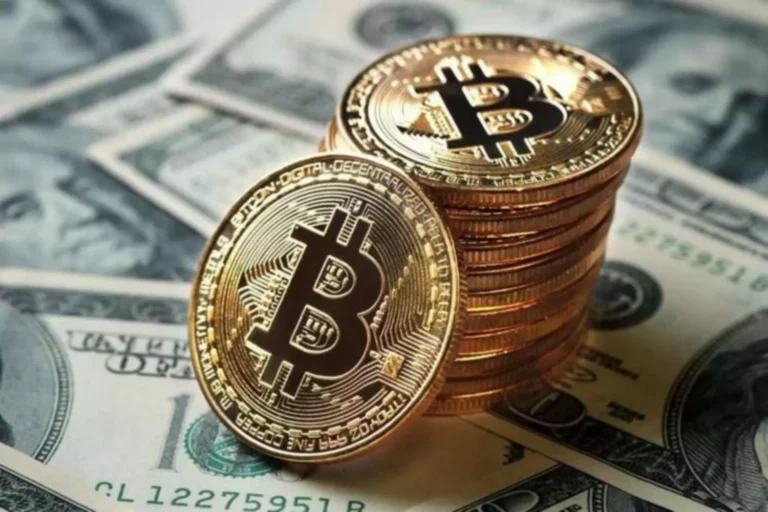 Which terminal is best for trading