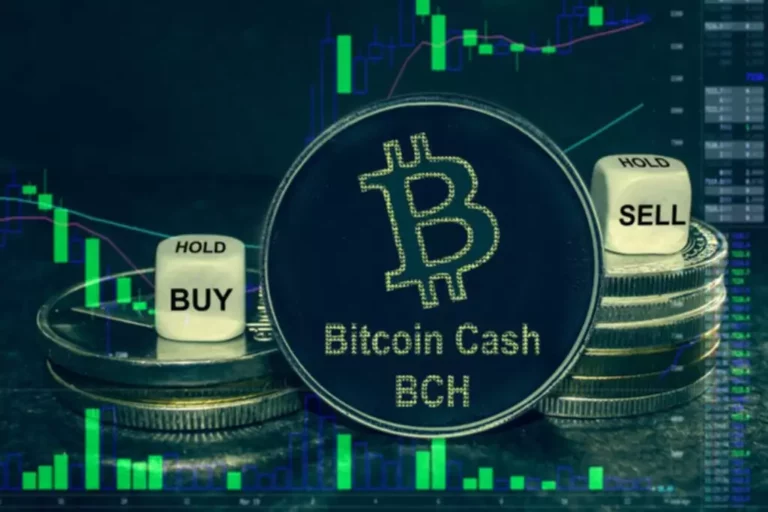 crypto wallet vs exchange