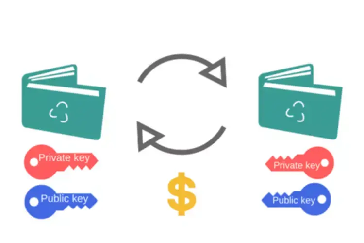 What is a cryptocurrency wallet: types and usage